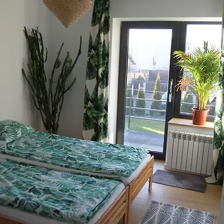 דירה Aloha From *