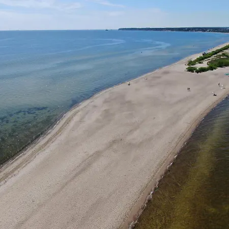 Aloha From * רווה