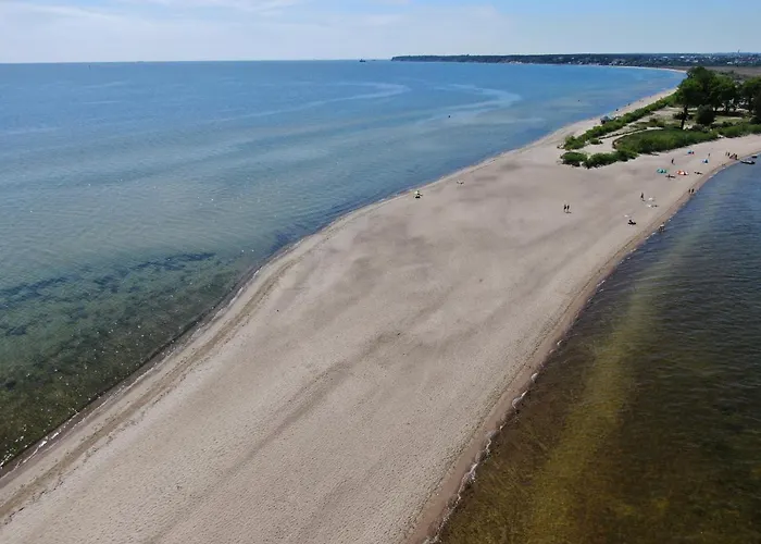 Aloha From * Рева